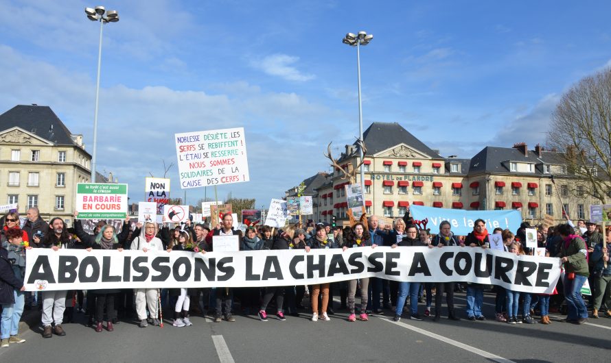 Rencontre avec L&rsquo;association AVA